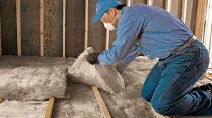 Best Spray Foam Insulation  in Mohave Valley, AZ